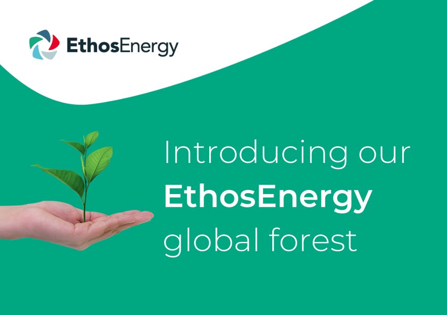 Introducing the EthosEnergy Global Forest